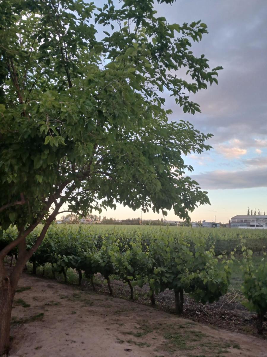 La Pausa, Departamentos y Casas - Housity