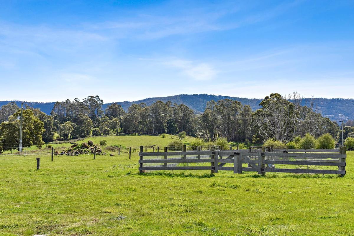 Wakefields - an enchanting mountain view cottage - Housity