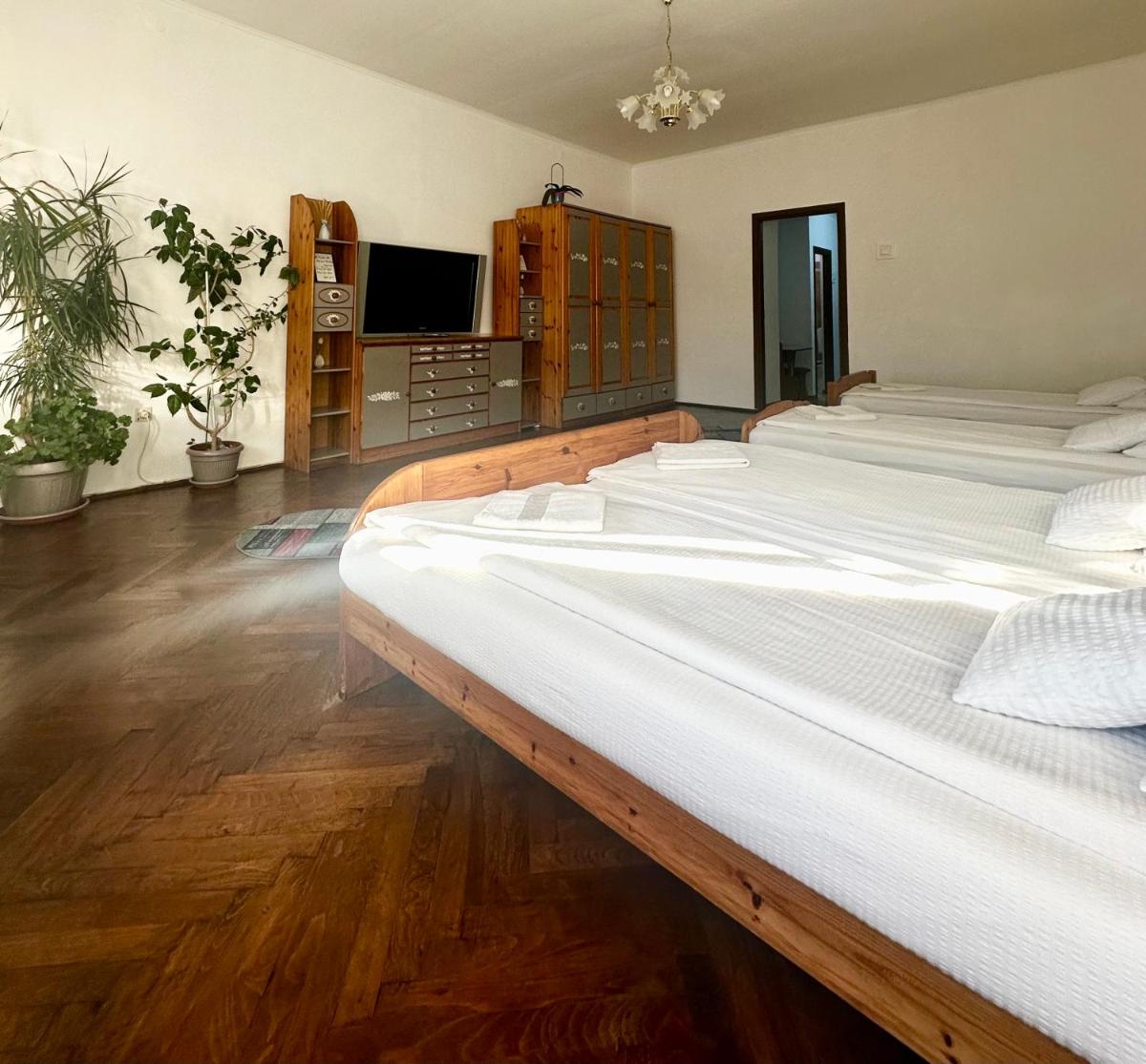 Studio Apartament Alex - Housity