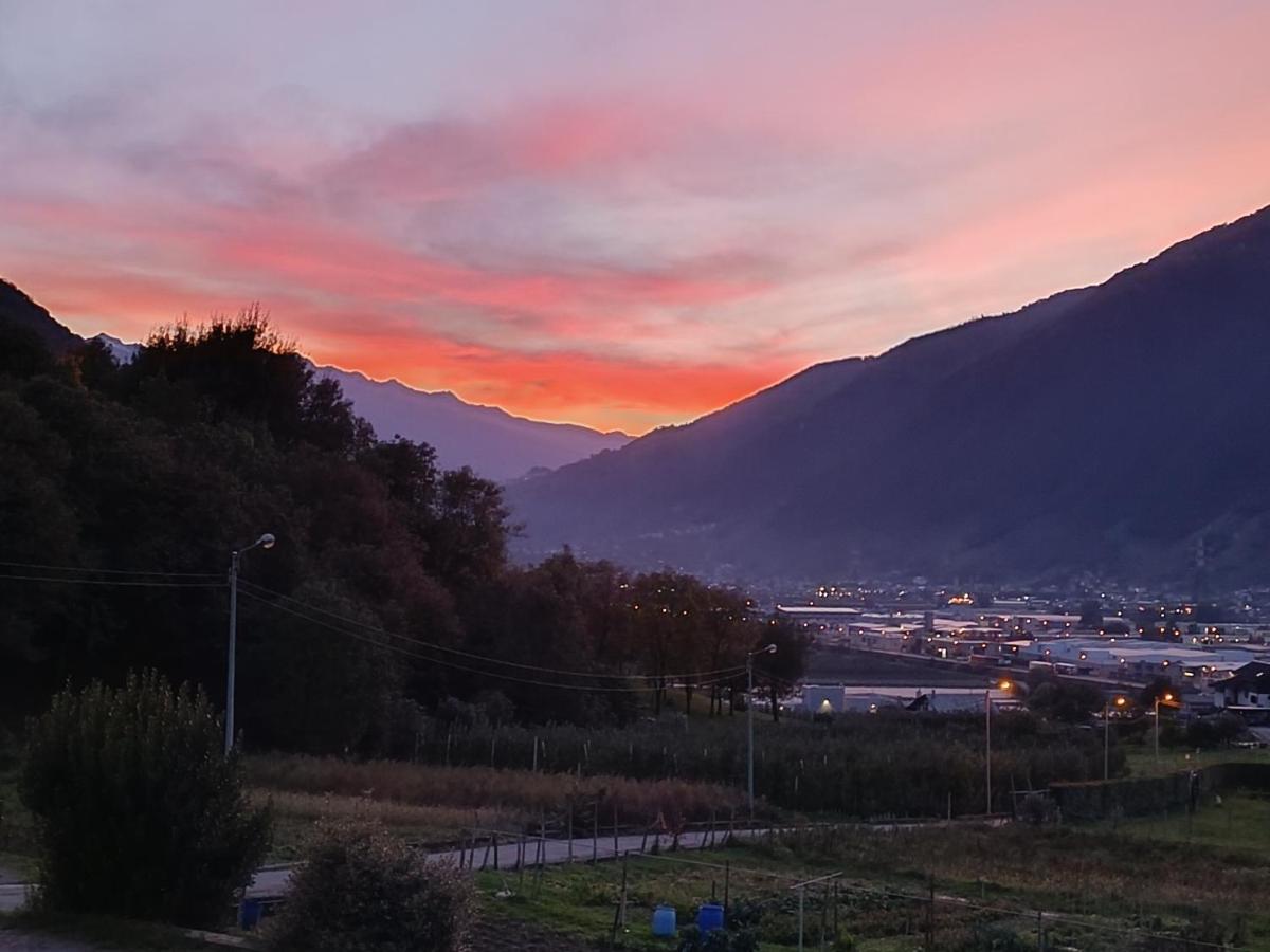 pisolo selvaggio - Housity