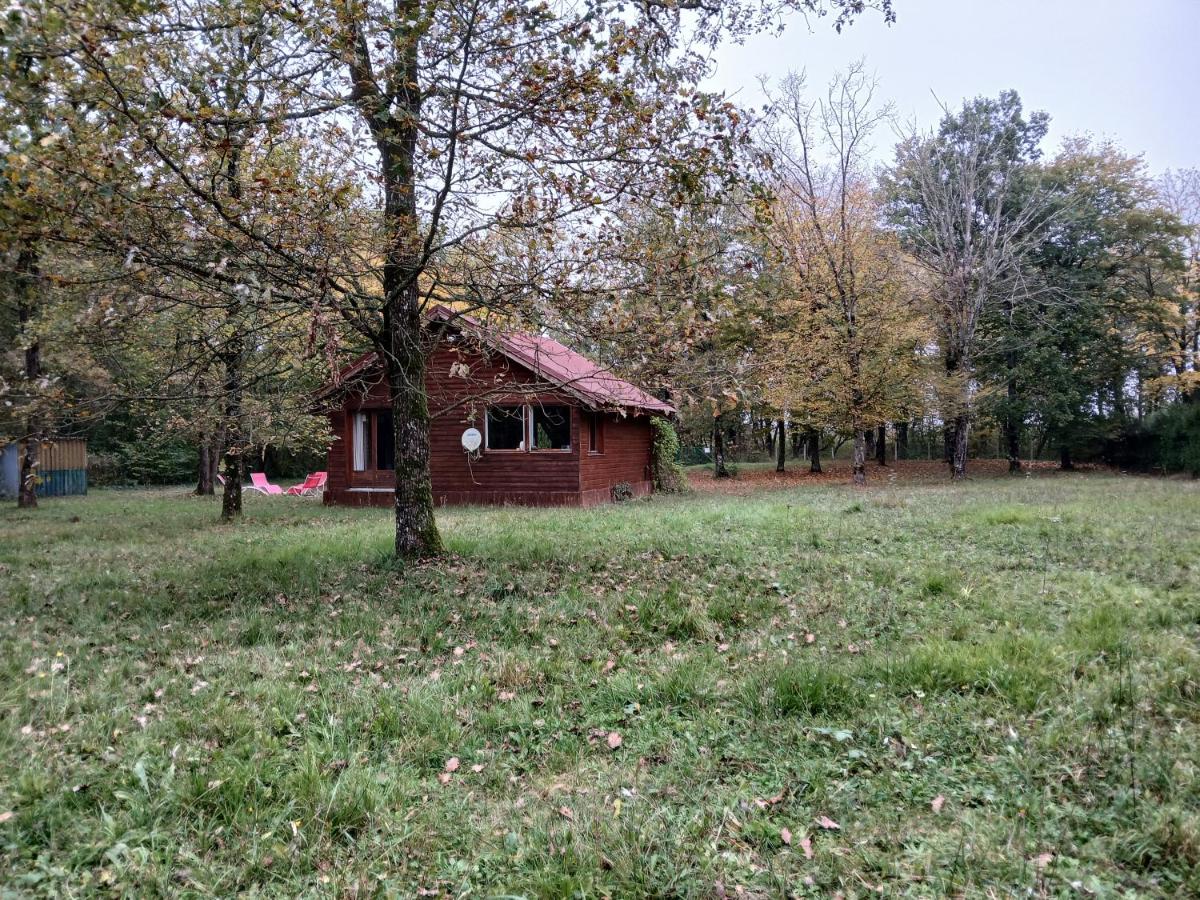 Chalet en forêt, brame du cerf - Housity