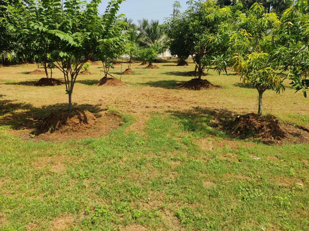 Siva Rama star comfort stay&gardens - Housity