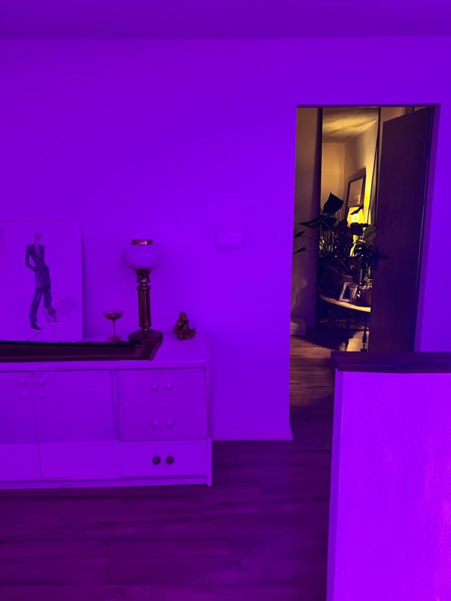 Exclusive Design Loft 60m2 whole Apartment in the center of Cracow with a view! - Housity