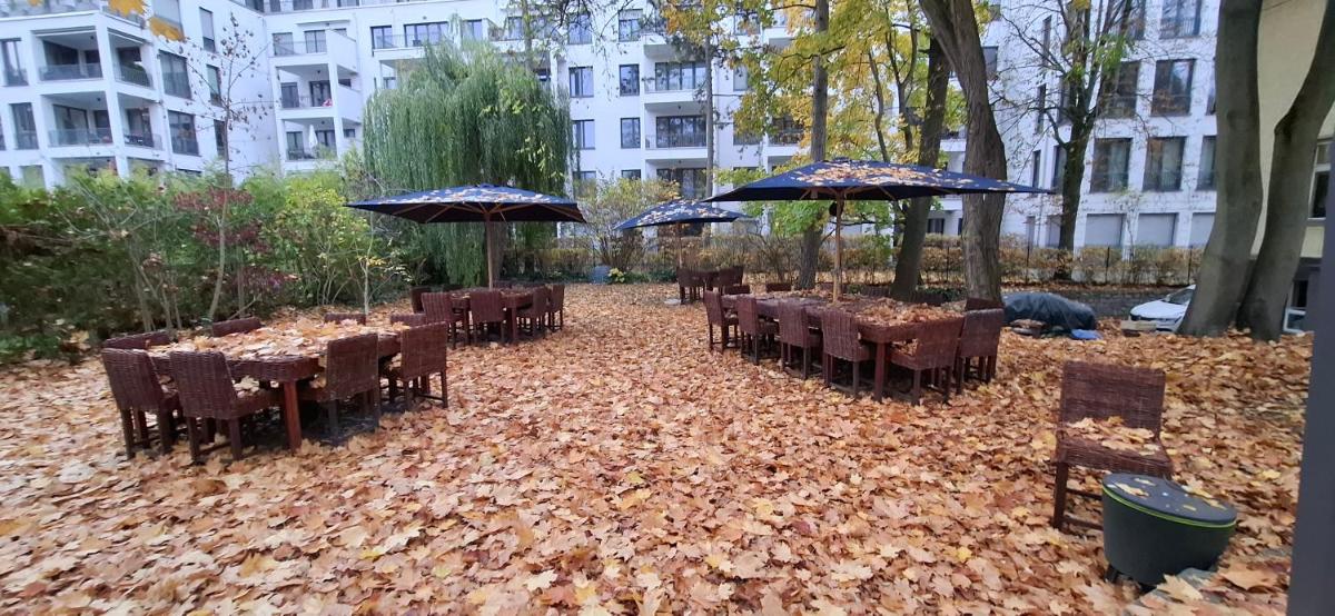 King David Garden - Housity