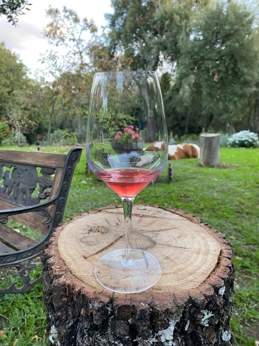 Agriturismo Pranu - Housity