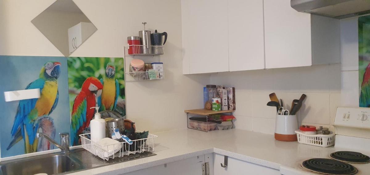 Cozy Room in Devonport - Housity