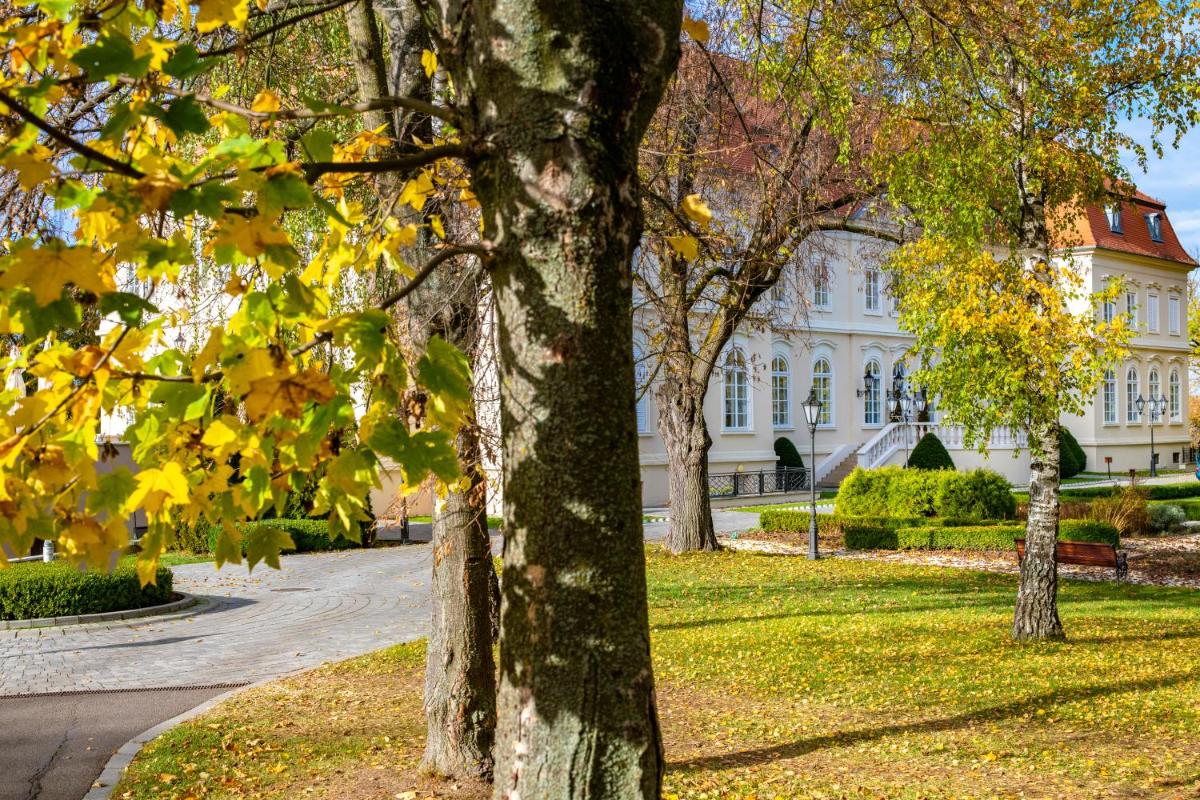 La Contessa Castle Hotel - Housity