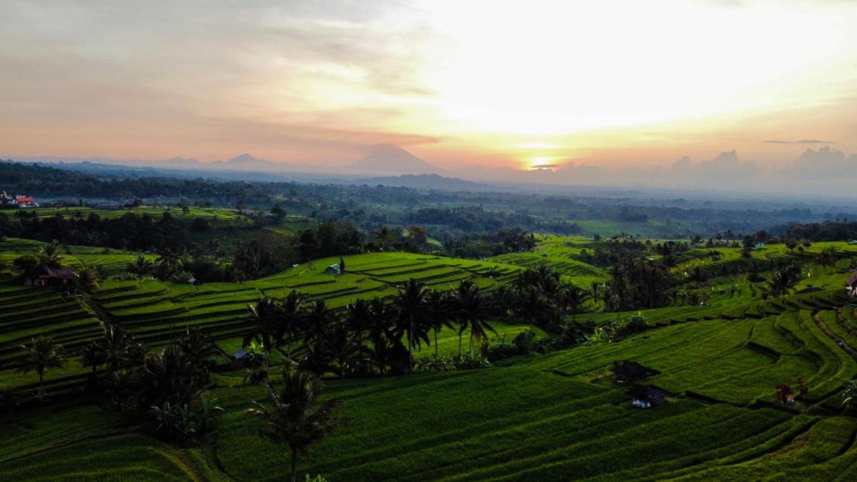 Bhuana Agung Villa and Restaurant - Housity
