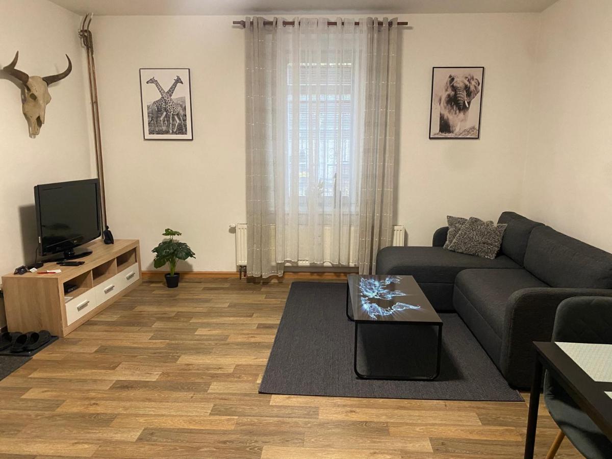 Černý Tulipán - Apartmán 2 - Housity