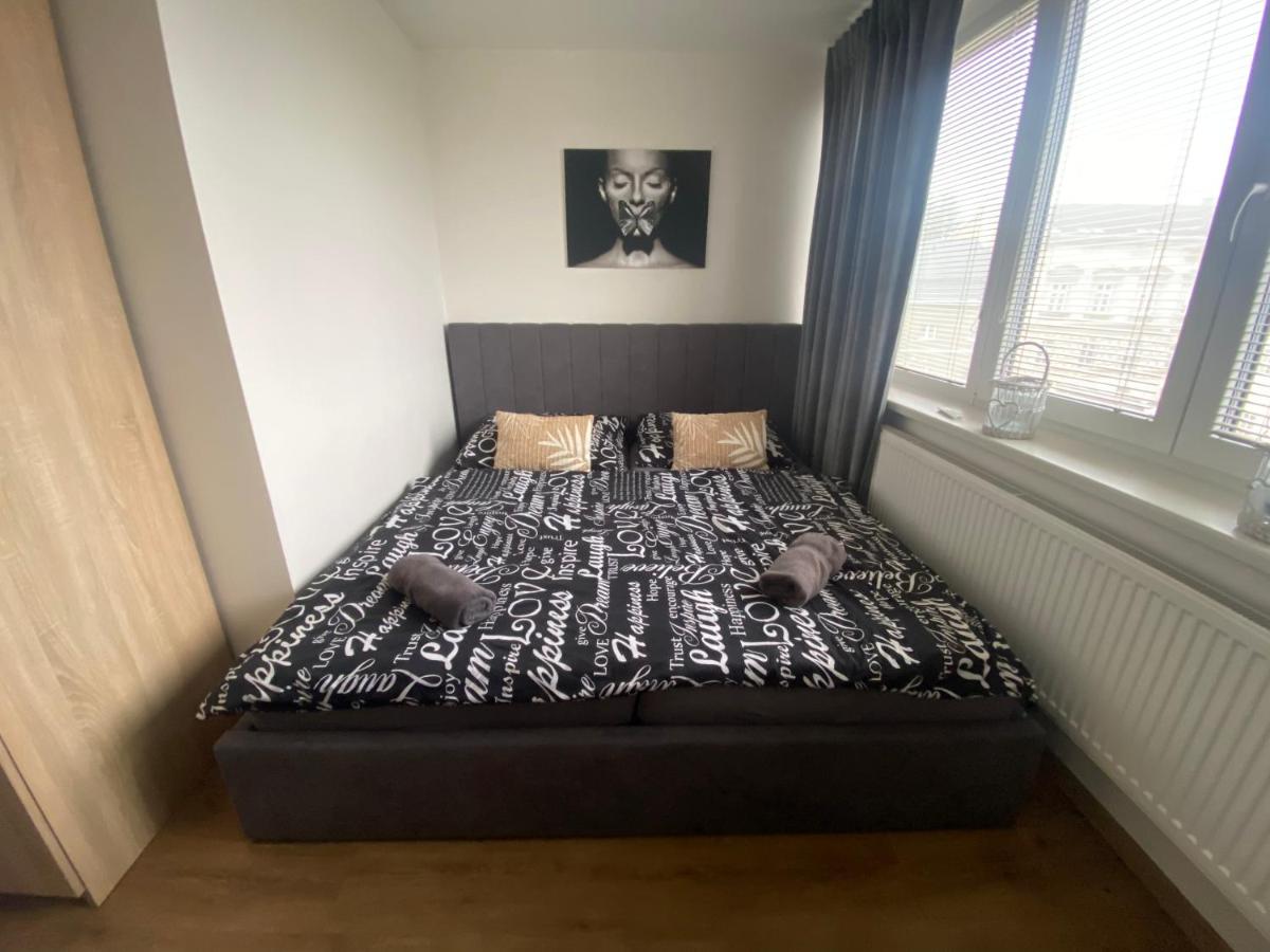 Černý Tulipán - Apartmán 5 - Housity