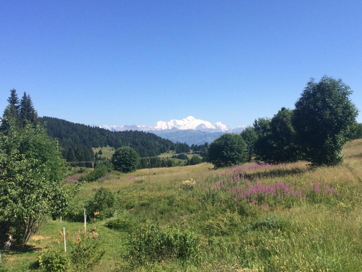 Appartement Le Praz De Lys - Housity