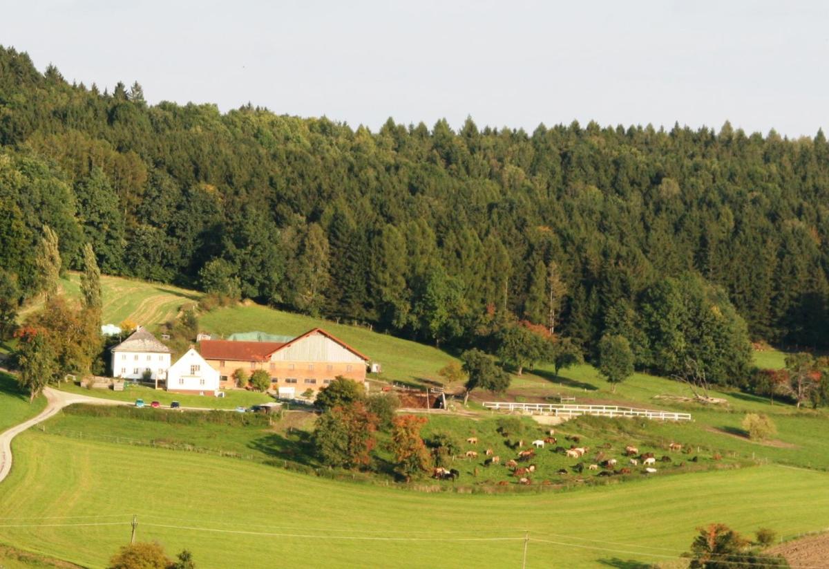 Pferdehof Koaser Minerl - Housity