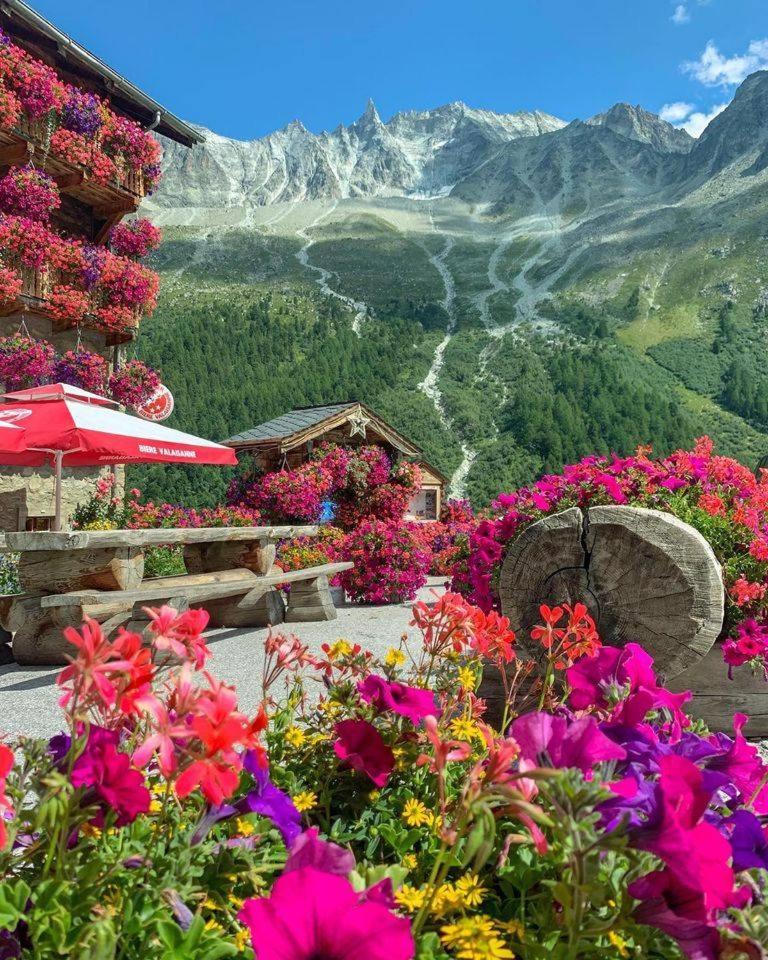 SKY Rooms, Mountainous View - Housity