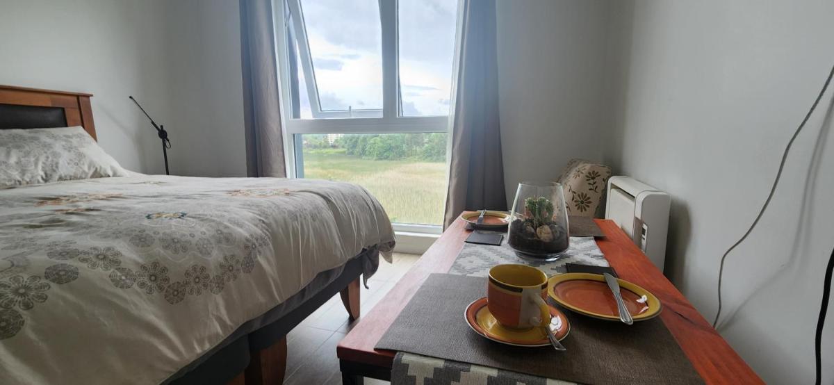 Departamento centro de Valdivia, Los Laureles 270, Isla Teja - Housity