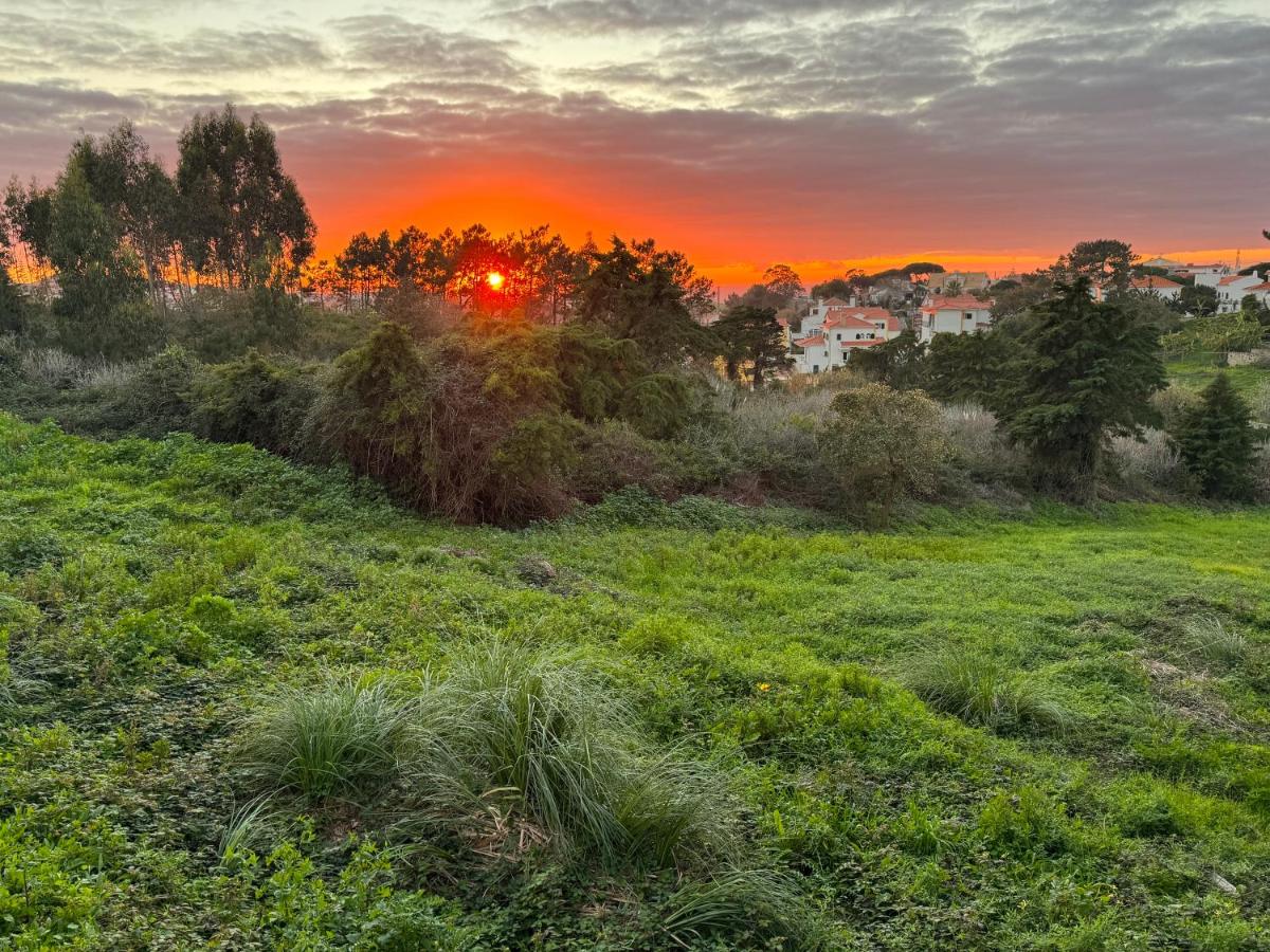 Boutique Hotel - O House Ericeira Hills - Housity