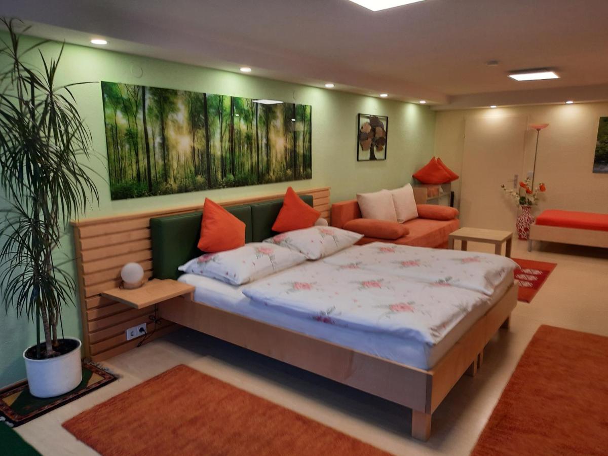 Ferienwohnung-Hajek - Housity