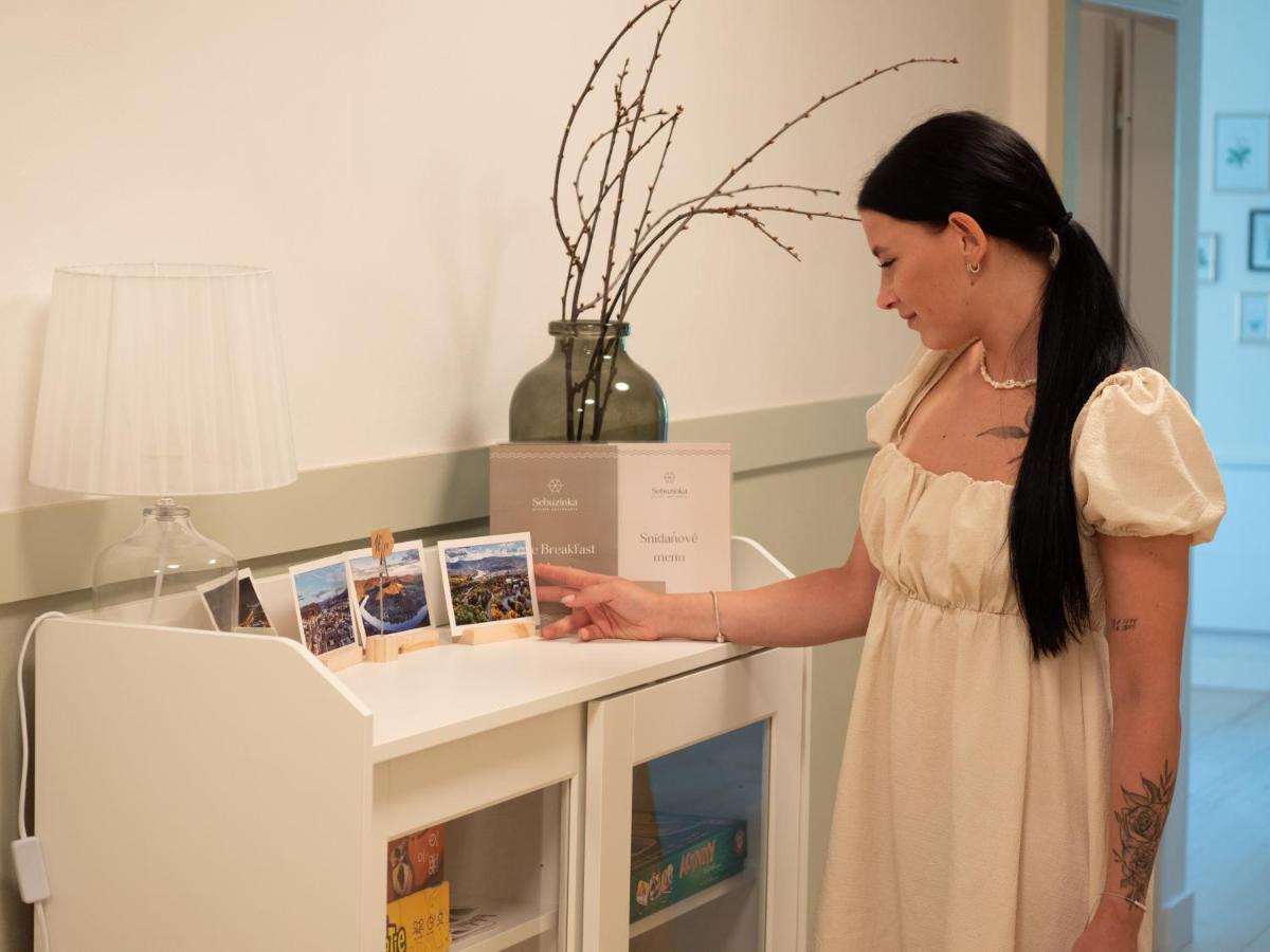 Sebuzínka - Housity