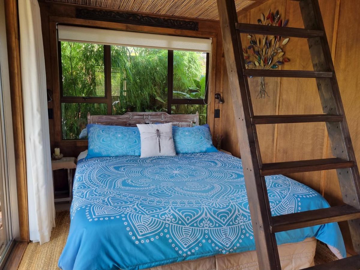 The Bali Room - Housity