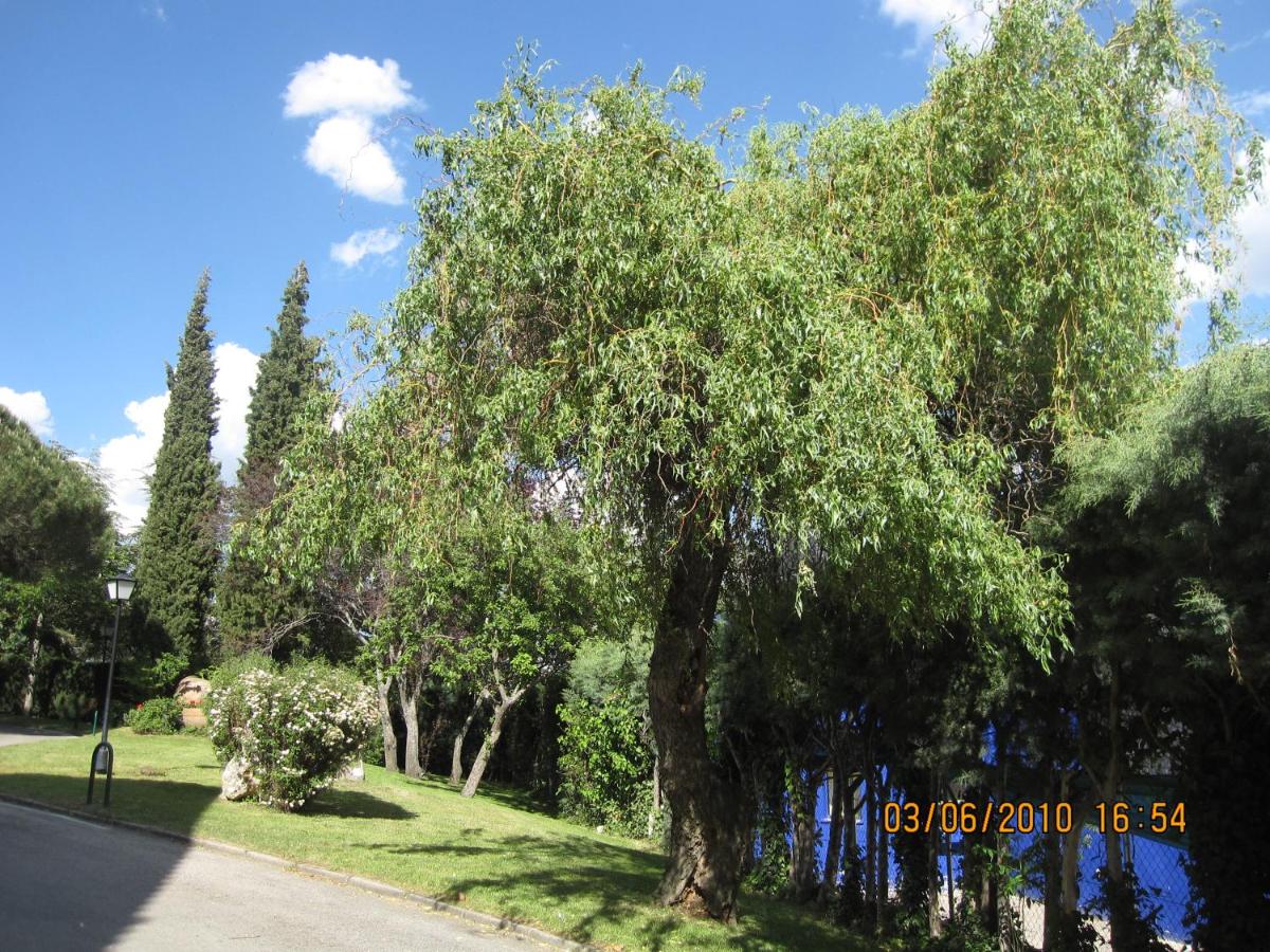 Paisaje cerca de este hotel