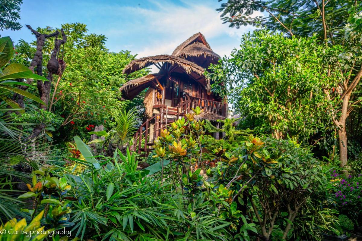 Green Travelodge Bukit Lawang - Housity