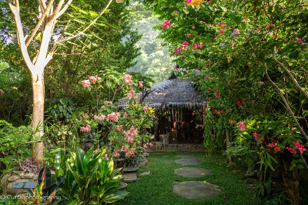 Green Travelodge Bukit Lawang - Housity