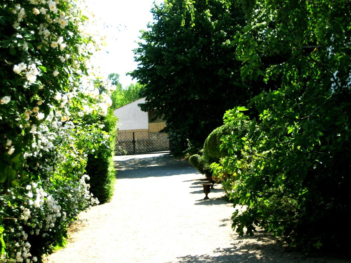 Les Demoiselles de Ladoix - Housity