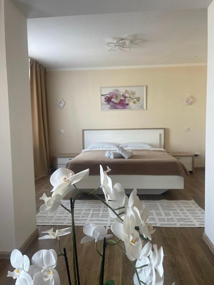 Hotel Elegia - Housity