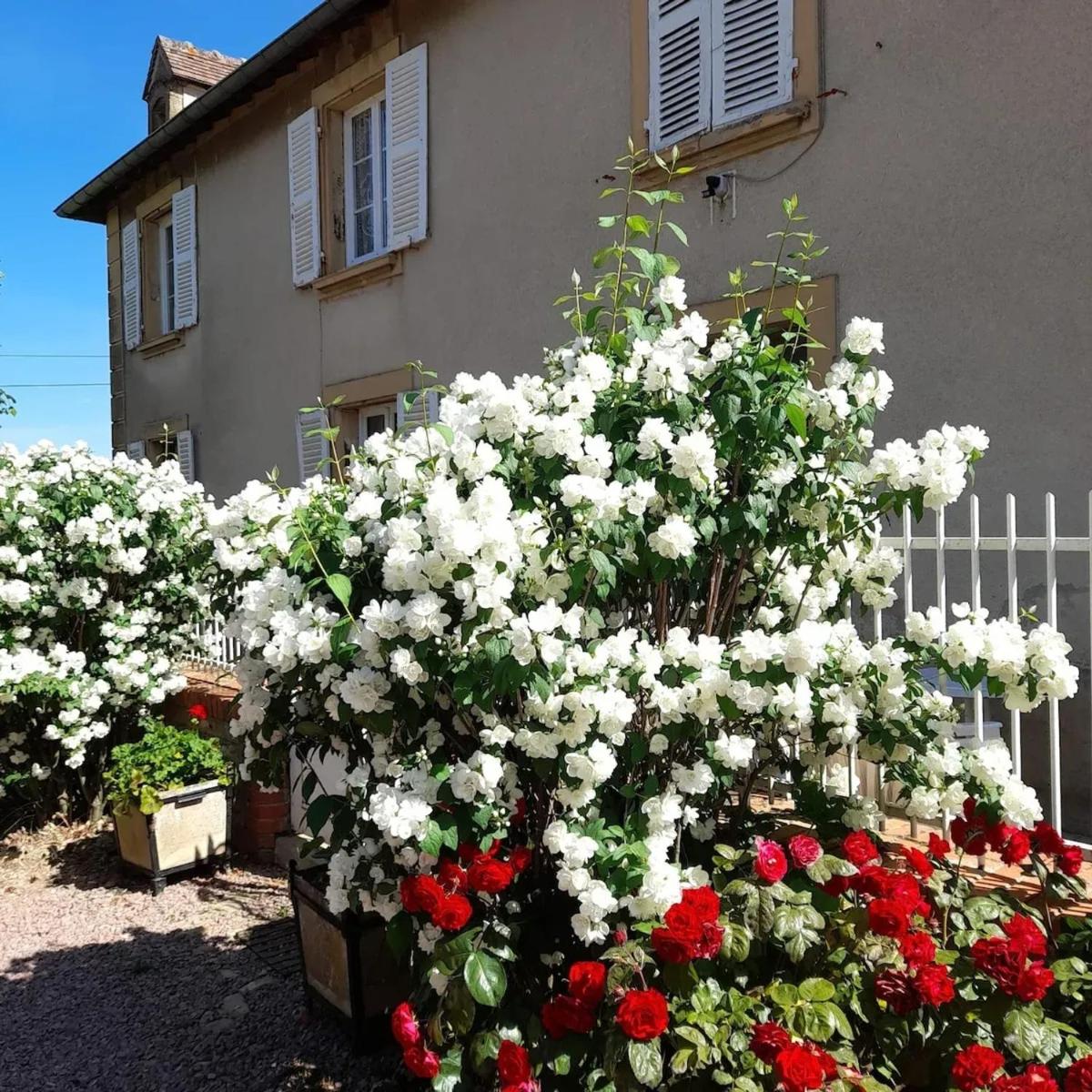 Maison conviviale avec jardin a Vauban 4 chambres - Housity