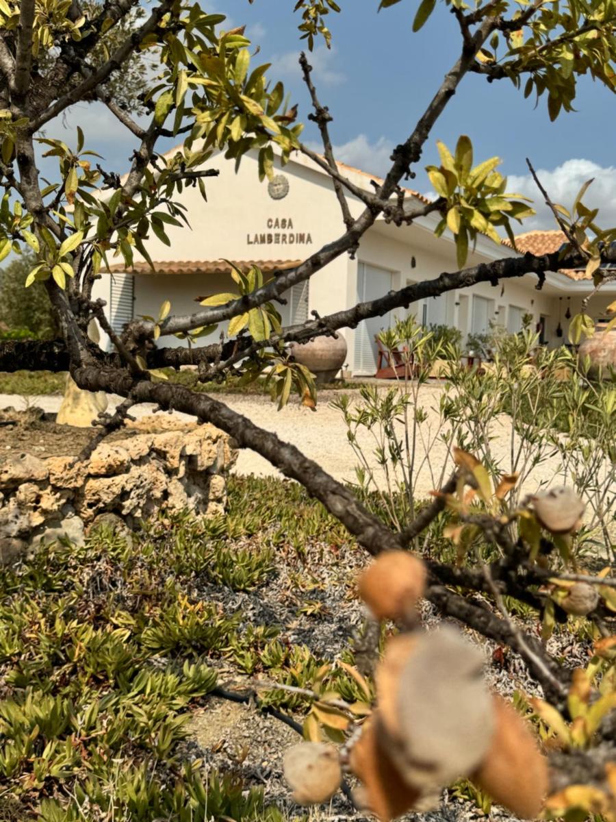 Casa Lamberdina - Housity