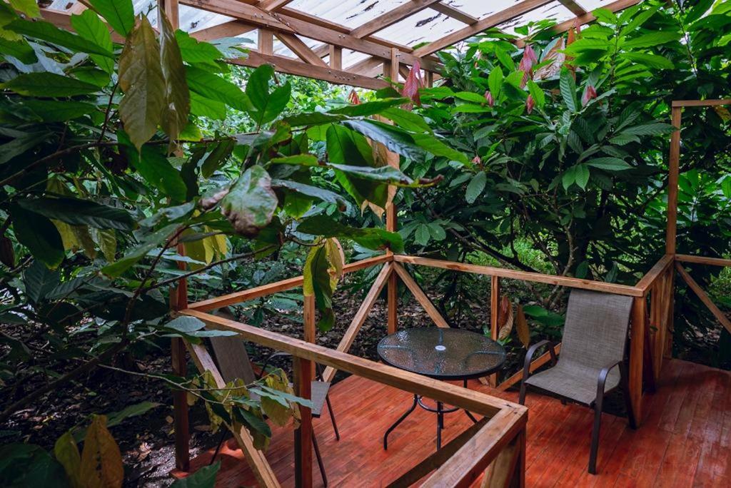 Cacahua Paradise Lodge, Río Celeste - Housity