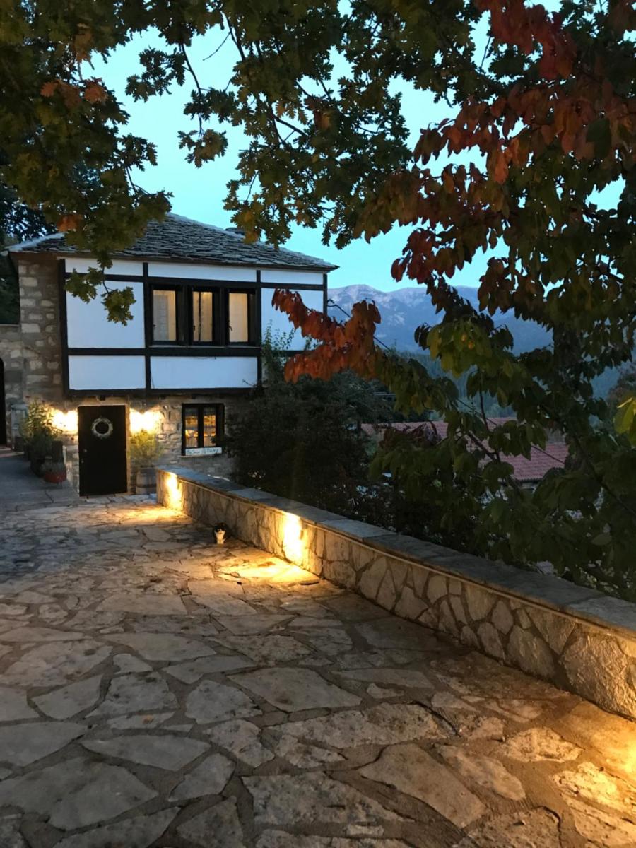 ΤΟ ΑΡΧΟΝΤΙΚΟ - Housity