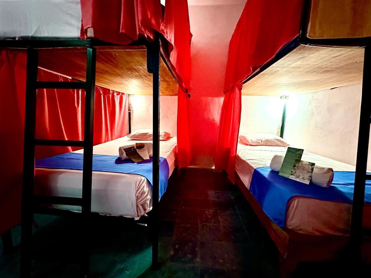 Hostal Guacamayas - Housity