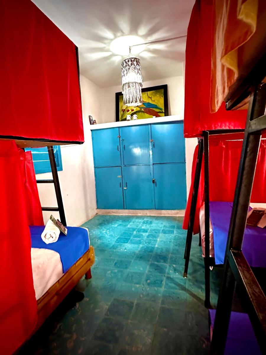 Hostal Guacamayas - Housity
