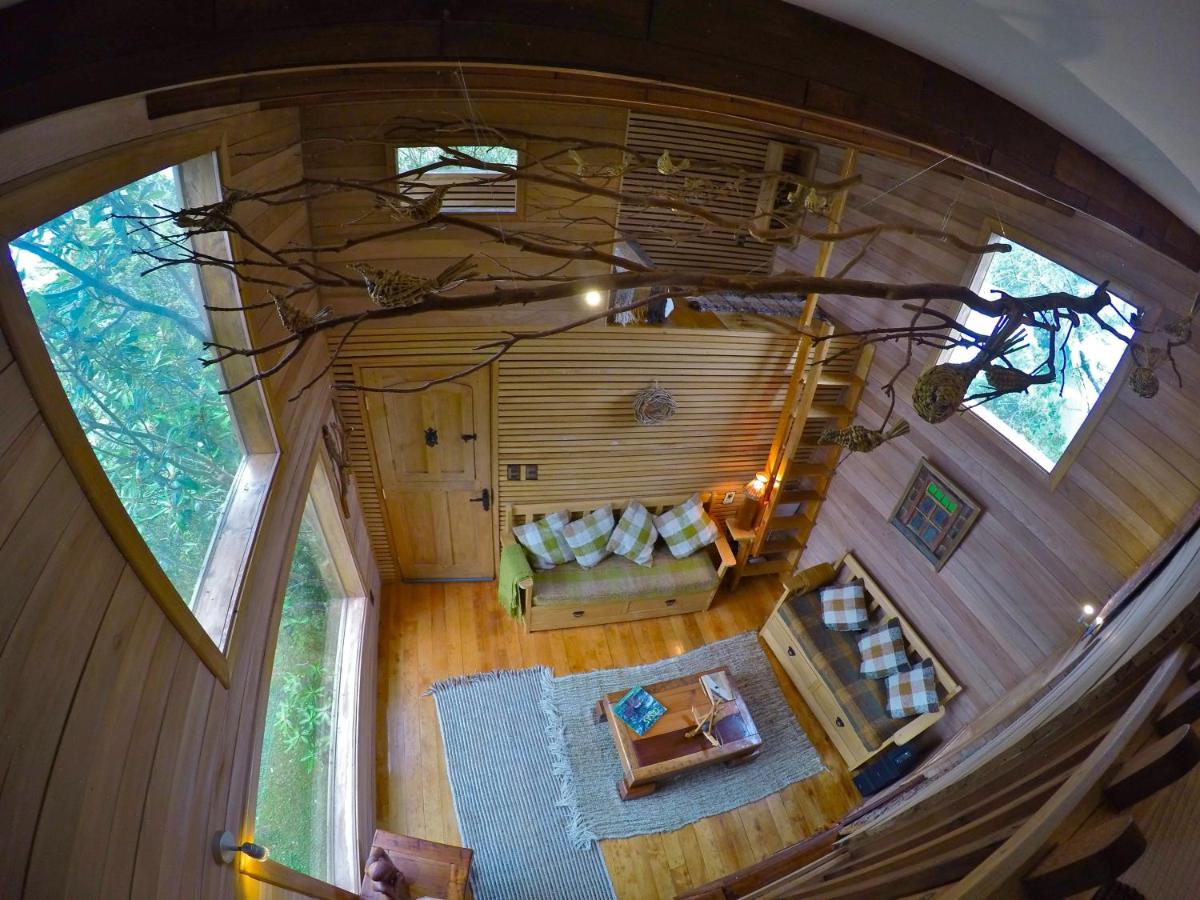 La Casa Del Árbol De Chiloé - Housity
