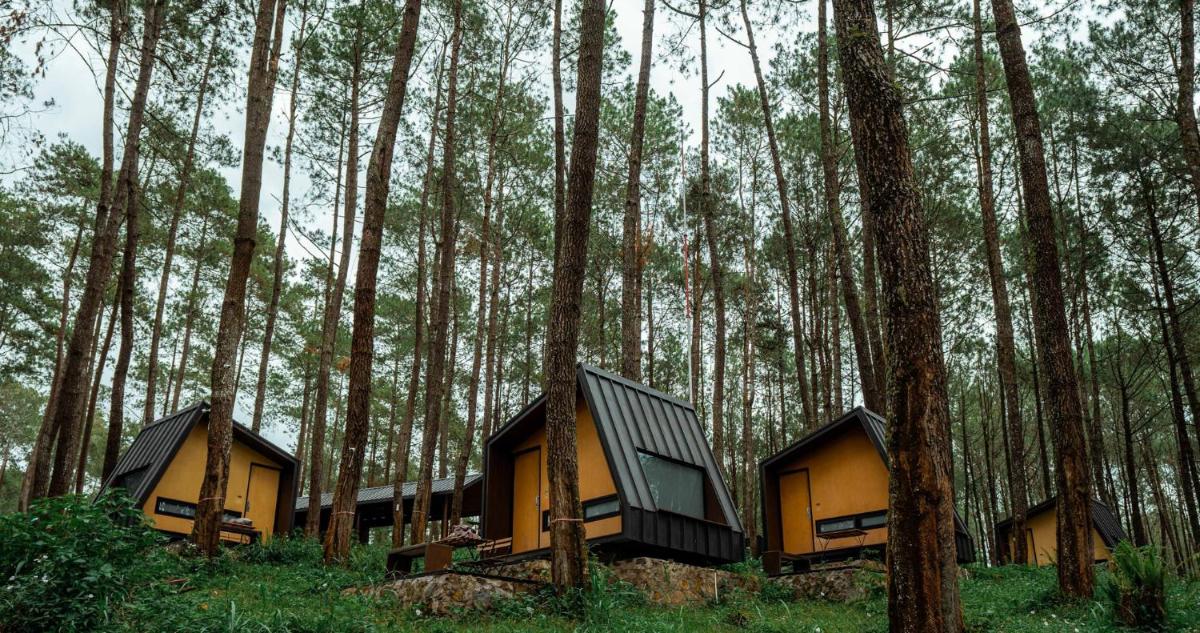Bobocabin Cikole, Bandung - Housity
