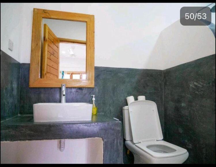 BiboWild & The Elevate Homes - Housity