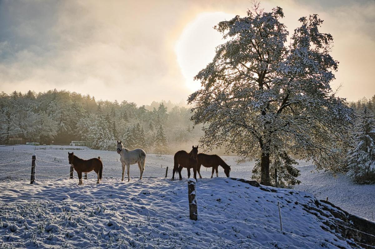 Farm Stay Ana - Housity