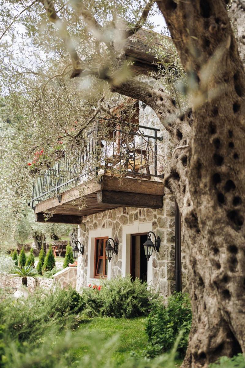 OLIVE QUEEN Rustic Estate - Housity