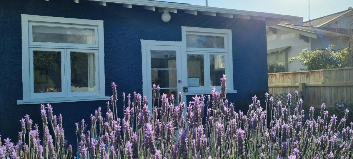 The Bungalow - Hizvo