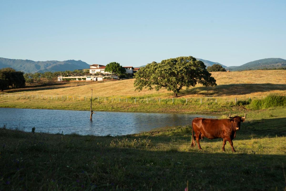 Paisaje cerca de este hotel