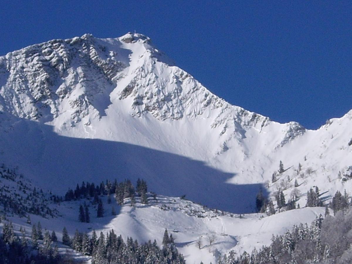 Gasthaus Aiplspitz - Housity