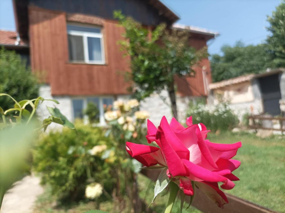 Вила Нина в Крамолин - Housity