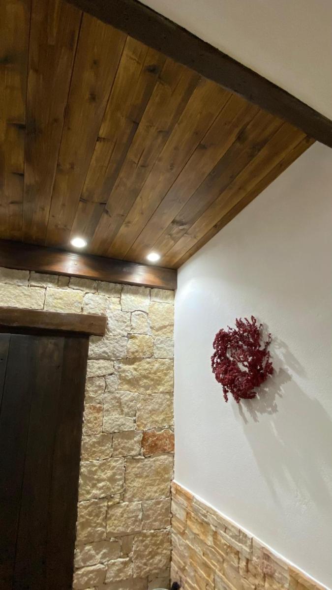 Alex's Apartment - Housity