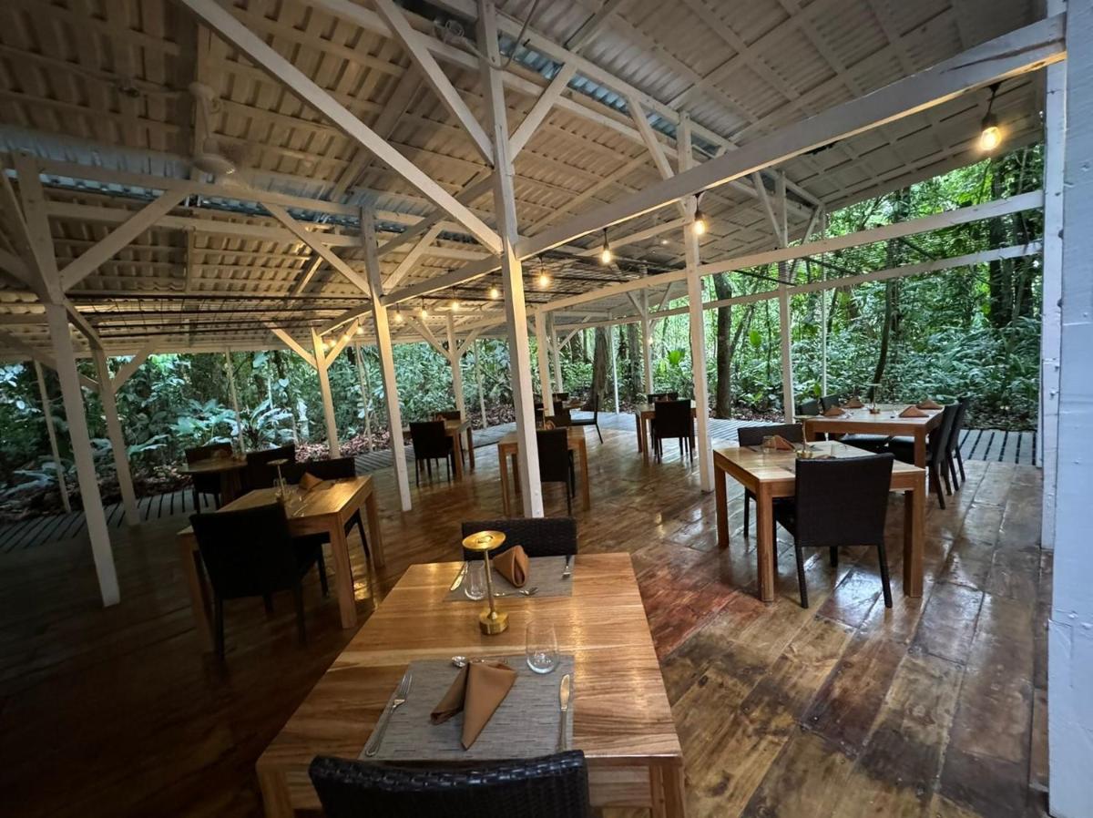 Almonds & Corals Boutique Hotel - Housity
