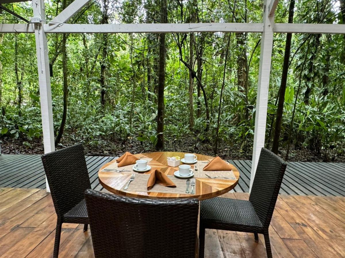 Almonds & Corals Boutique Hotel - Housity