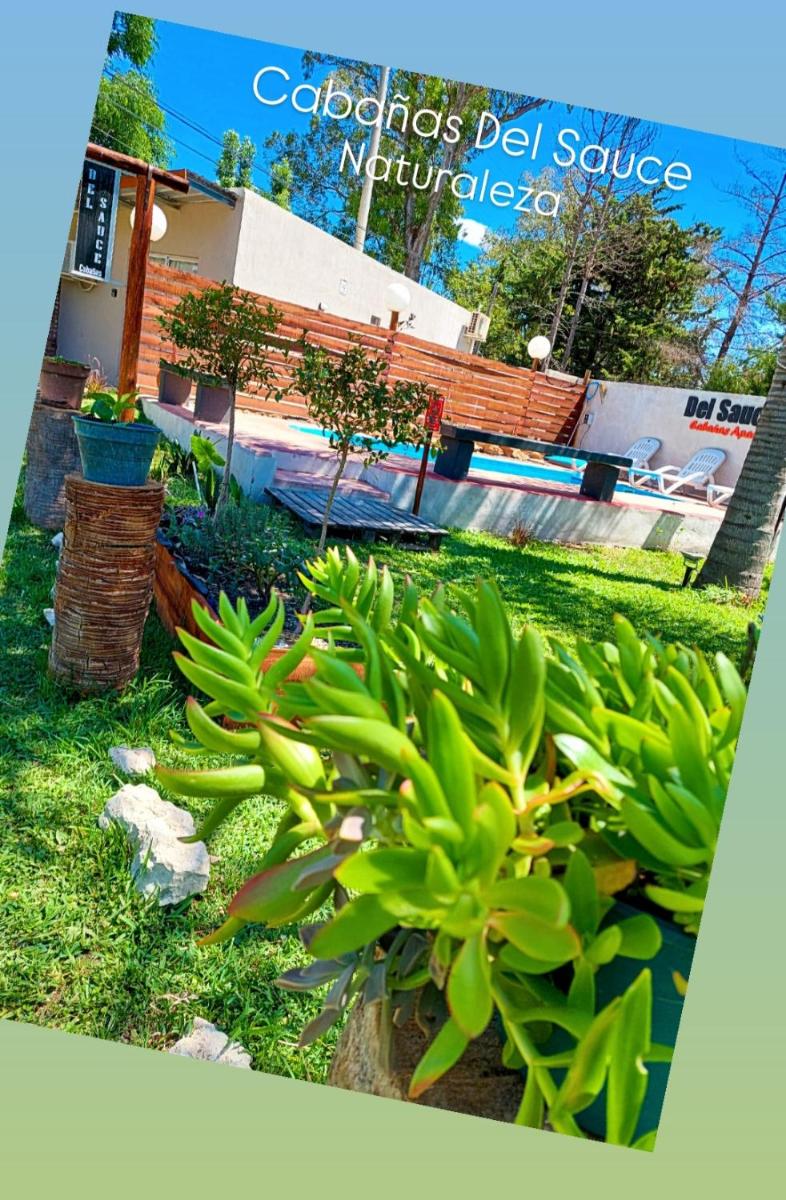 Cabañas Del Sauce - Housity