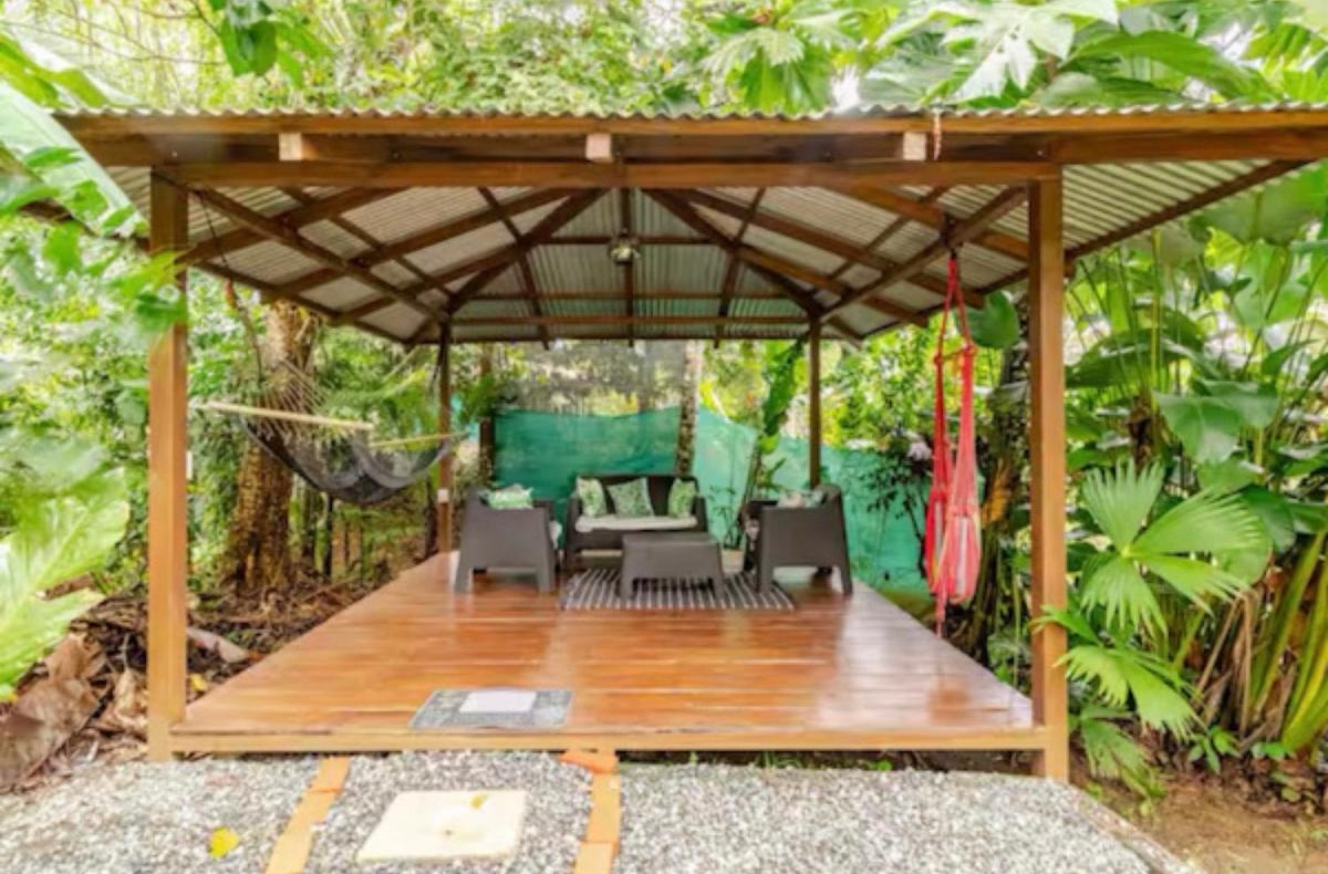 Casa Osa Lion - Housity