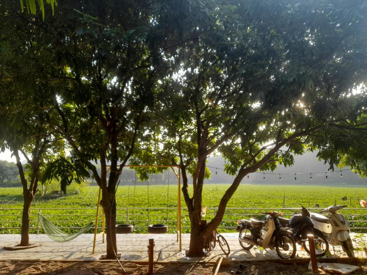 Serena riverside homestay - Tràng An - Housity