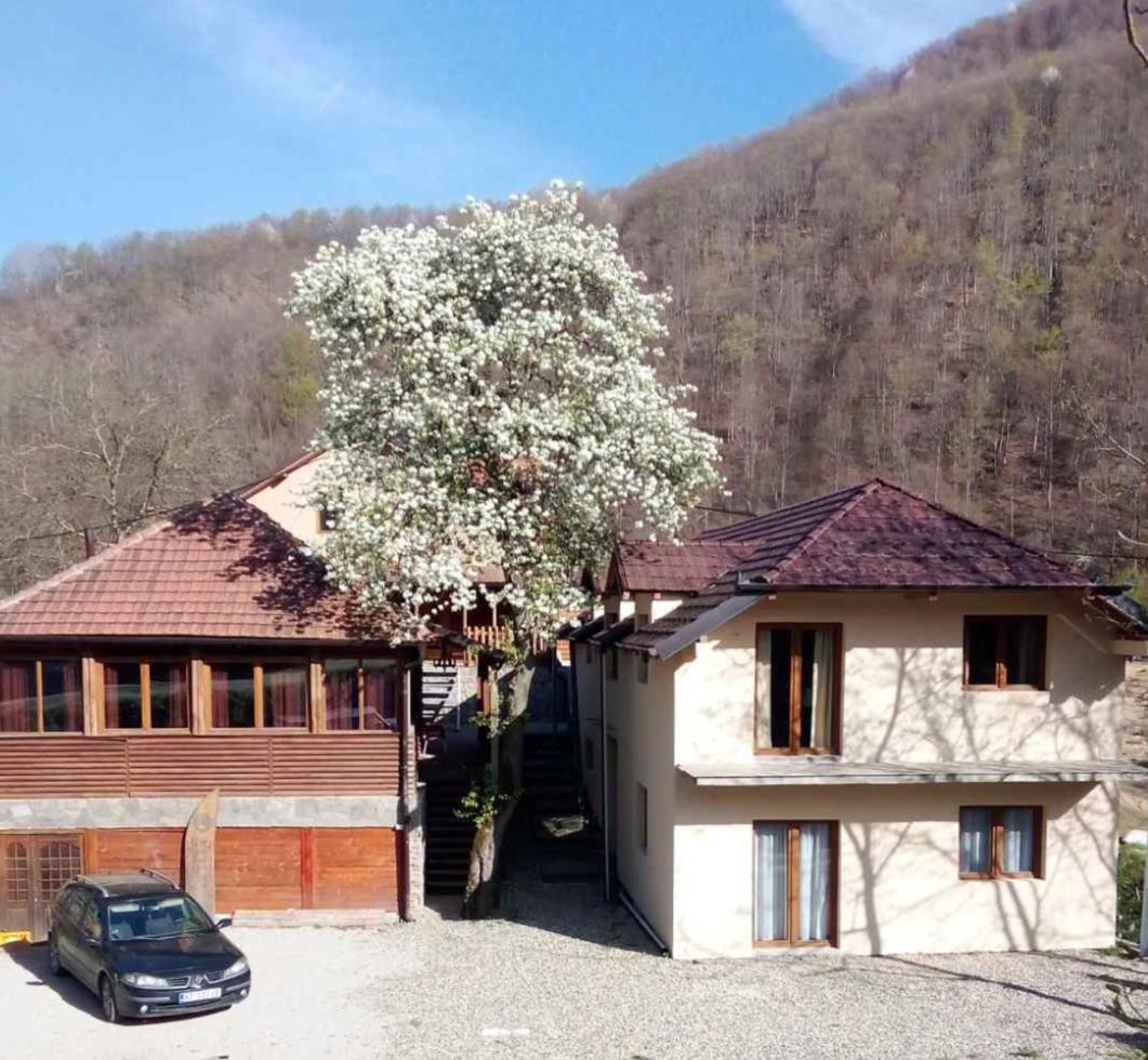 Velebit apartmani - Housity