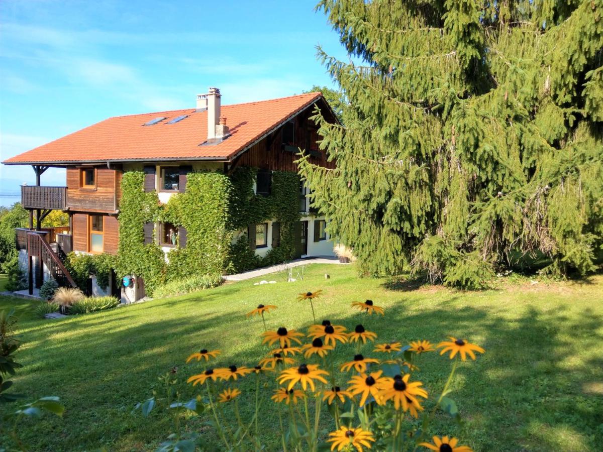 Domaine de l'Olifant - Housity